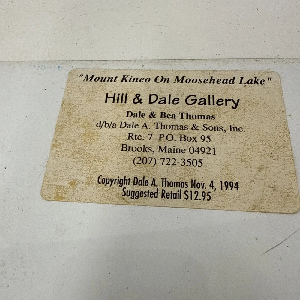 VTG 1994 Maine License Plate Mount Kineo Moosehead Lake Dale Thomas Loons